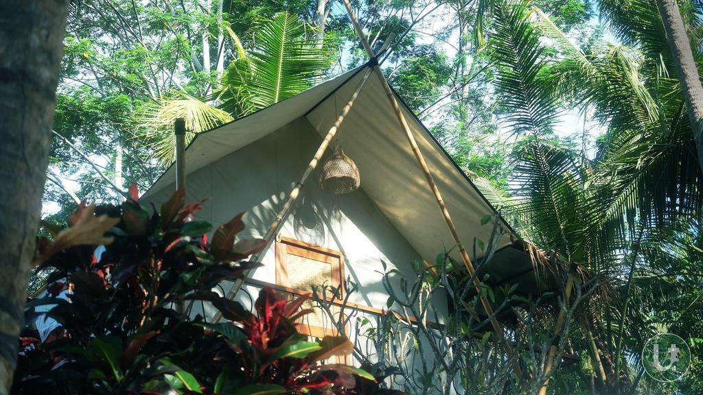 Ubud Tropical Exterior photo