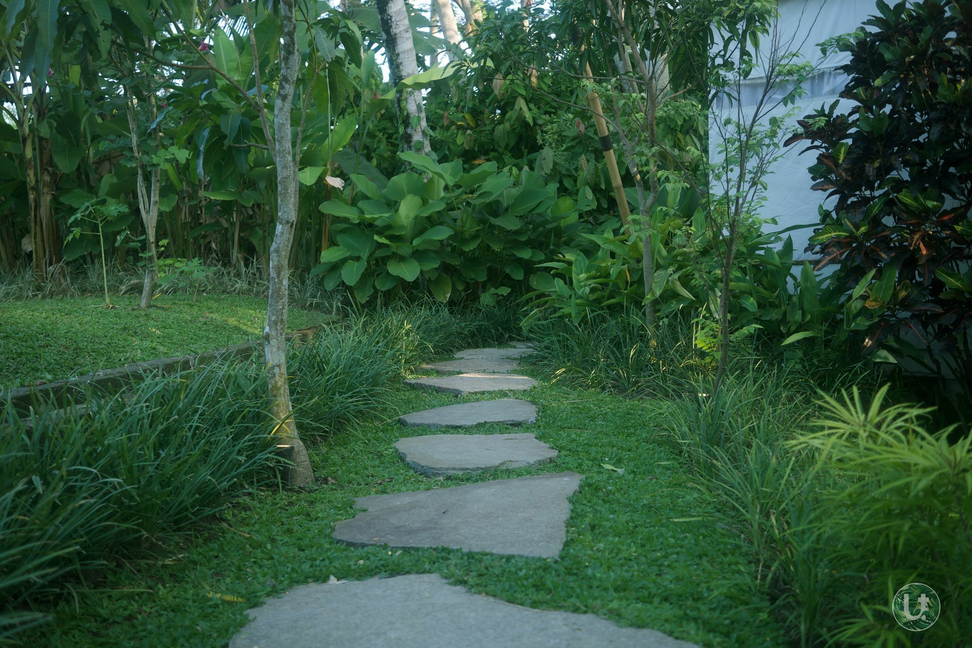 Ubud Tropical Exterior photo